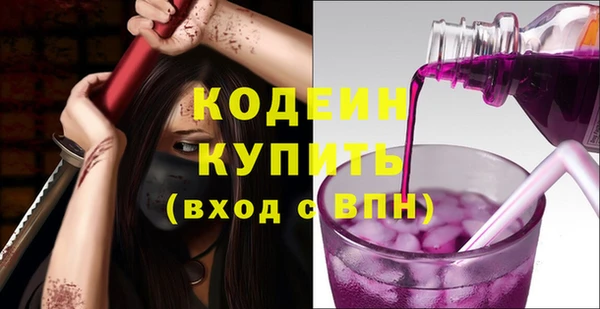 шишки Приозерск