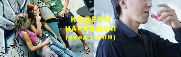 шишки Приозерск