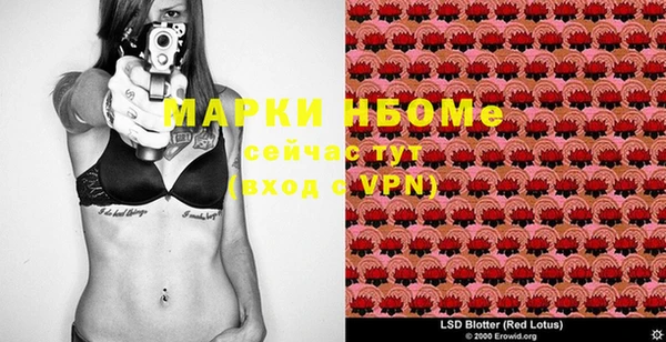 шишки Приозерск