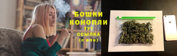 шишки Приозерск