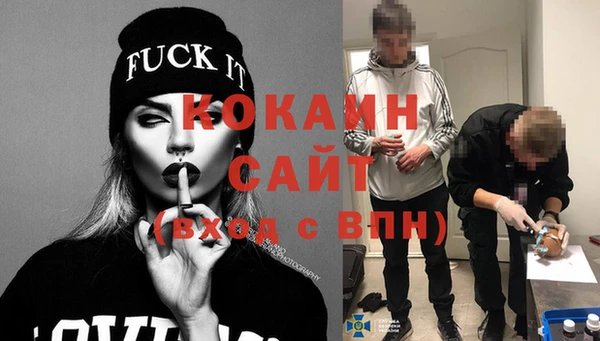 шишки Приозерск