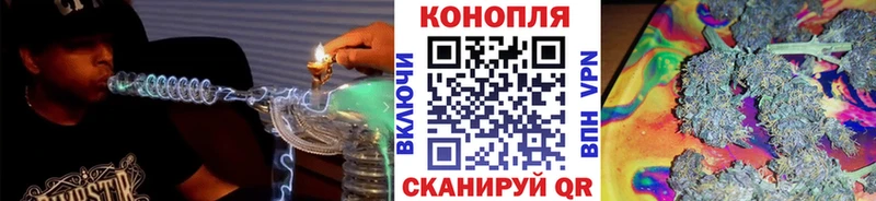 Купить  Княгинино  Марихуана конопля 